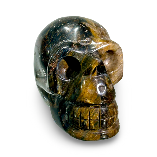 Tigers Eye Skull