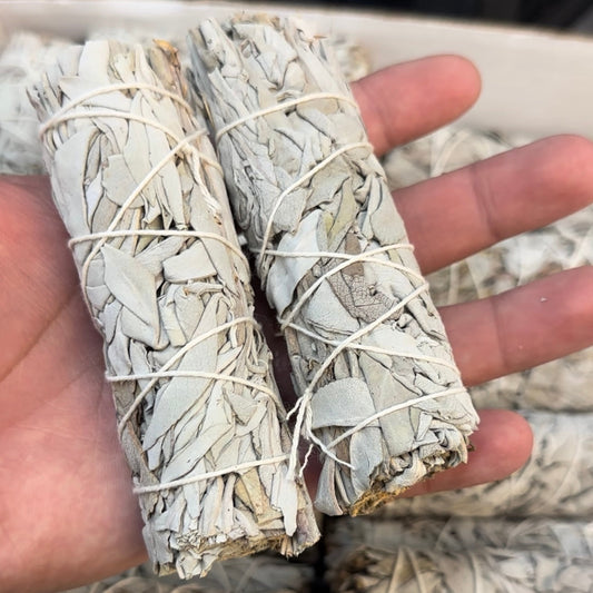 Wholesale White Sage Bundles - 100 Piece Box - Fresh California White Sage for Smudging