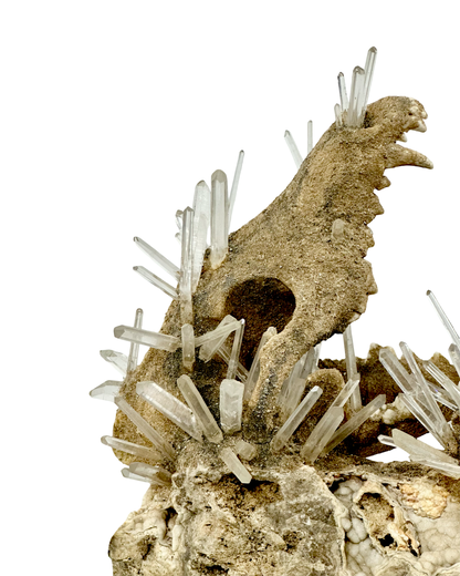 Handmade Coyote & Possum Skull Crystal Sculpture on Quartz Matrix – Unique Bone & Quartz Art