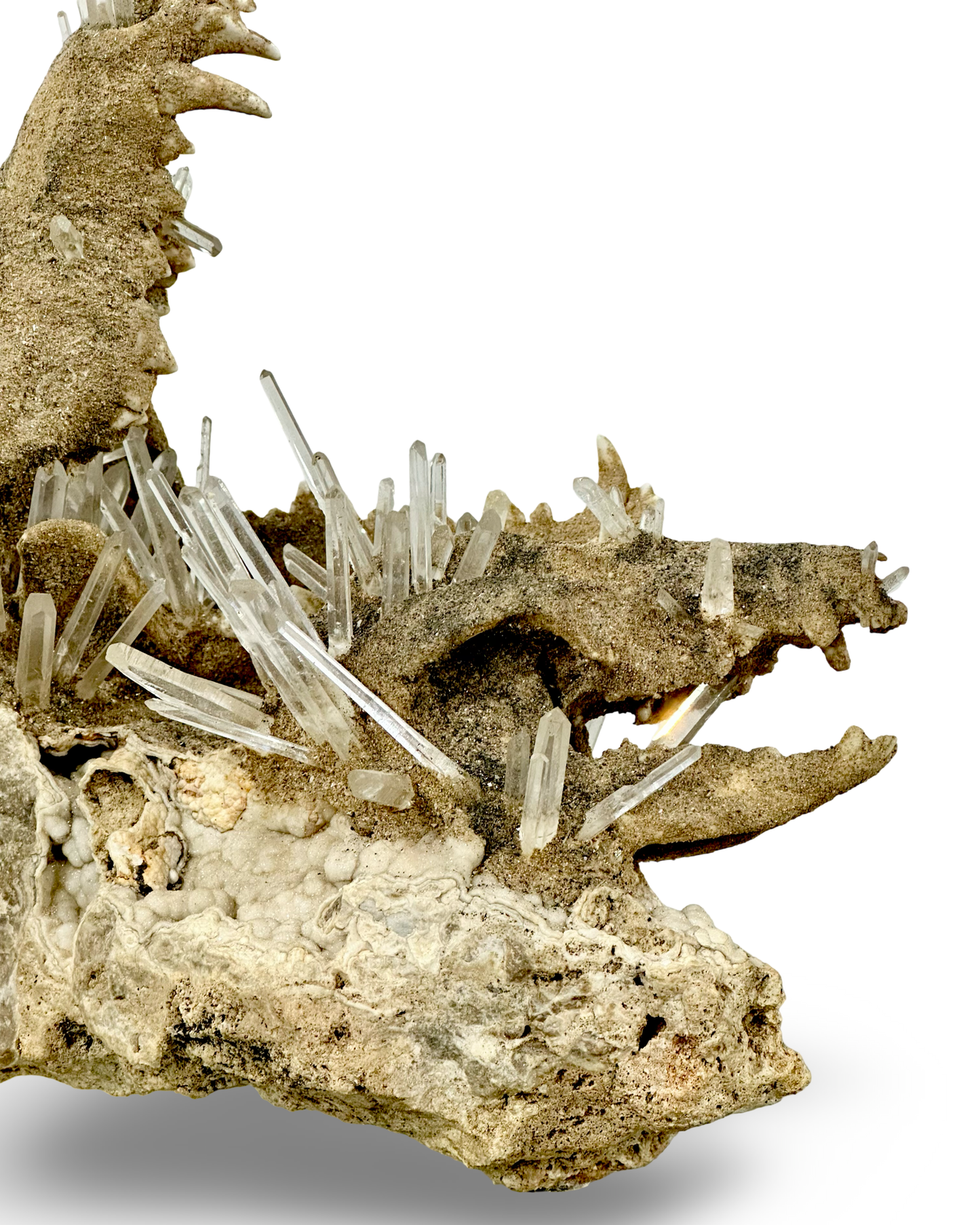 Handmade Coyote & Possum Skull Crystal Sculpture on Quartz Matrix – Unique Bone & Quartz Art