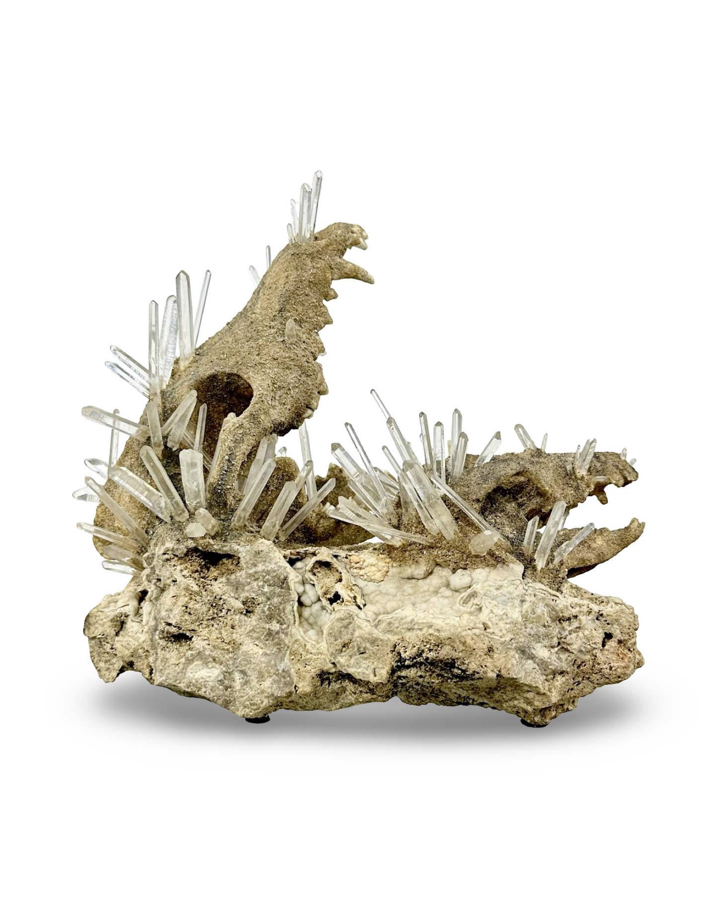 Handmade Coyote & Possum Skull Crystal Sculpture on Quartz Matrix – Unique Bone & Quartz Art