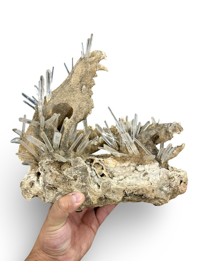 Handmade Coyote & Possum Skull Crystal Sculpture on Quartz Matrix – Unique Bone & Quartz Art