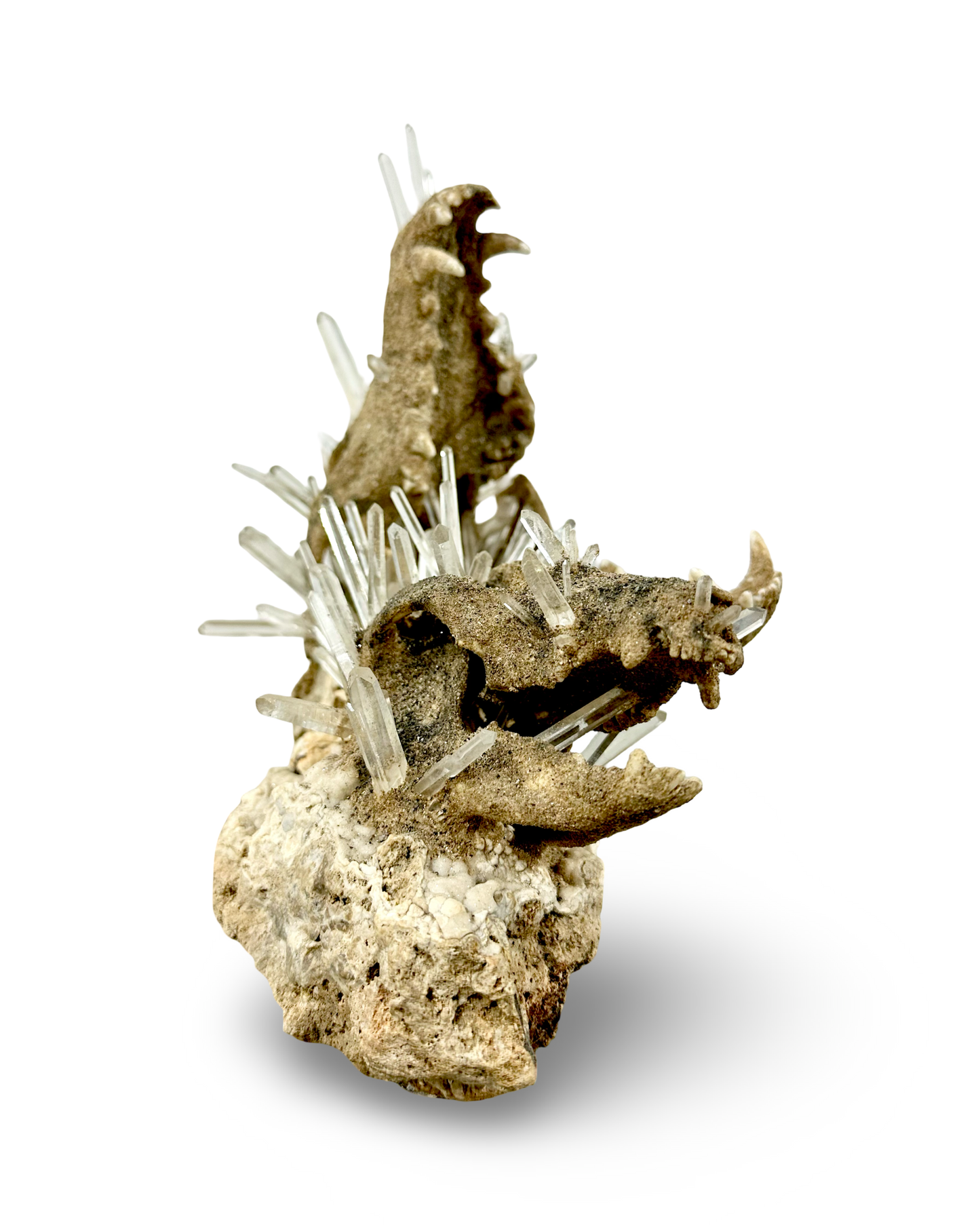 Handmade Coyote & Possum Skull Crystal Sculpture on Quartz Matrix – Unique Bone & Quartz Art