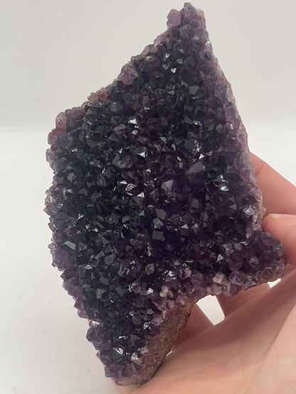 Amethyst Cluster