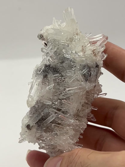 Colombian Lemurian Needle Cluster – 156g | 4” x 2.6” | Natural Quartz Crystal from Colombia