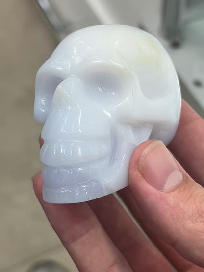 Blue Lace Agate Skull