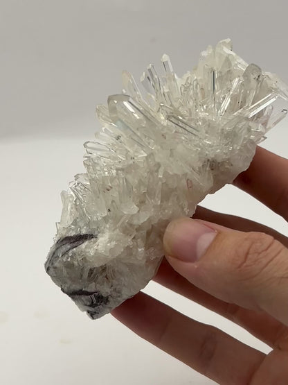 Colombian Lemurian Needle Cluster – 313g | 4.5” x 2.5” | Natural Quartz Crystal from Colombia